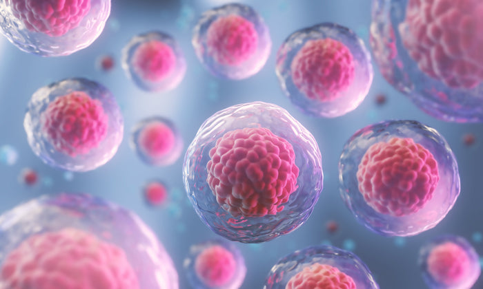 stem cell cellnergy wellness lifepharm laminine omega terahertz red light heat therapy