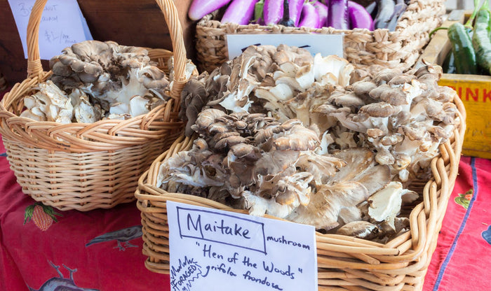basket of Maitake mushrooms