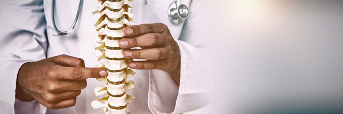 doctor pointing at spine
