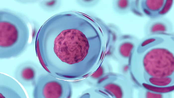 cells in water