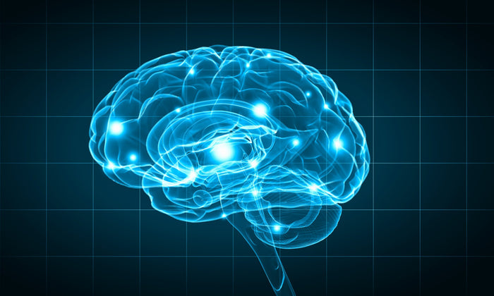 a brain graphic