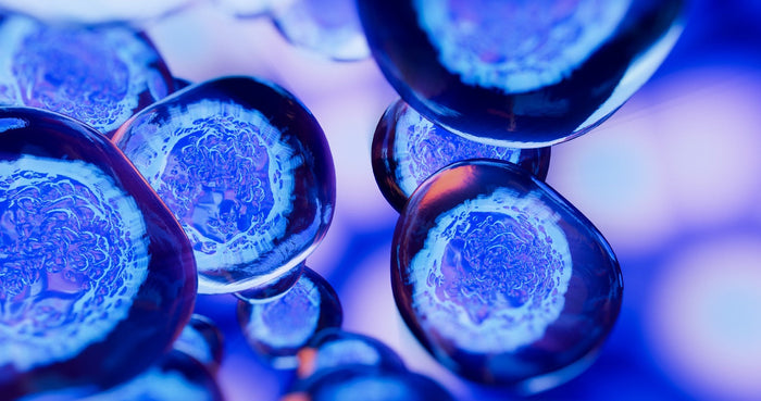 Creative image of embryonic stem cells, cellular therapy