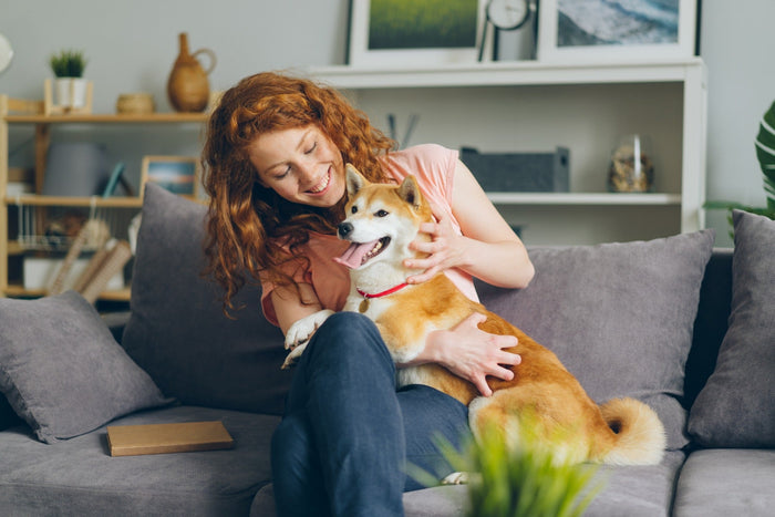 Happy dog and owner
